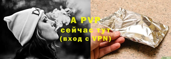 гидра Вяземский