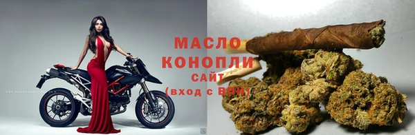 гидра Вяземский