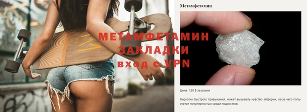 гидра Вяземский