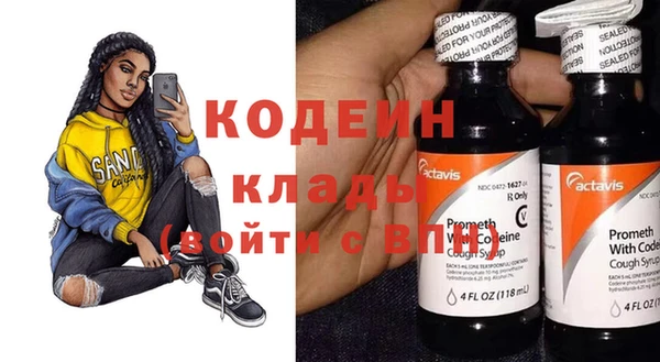 гидра Вяземский