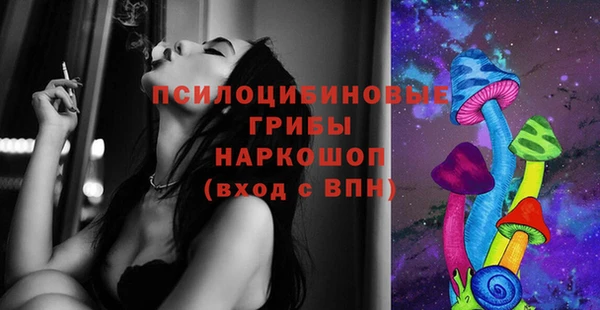 гидра Вяземский