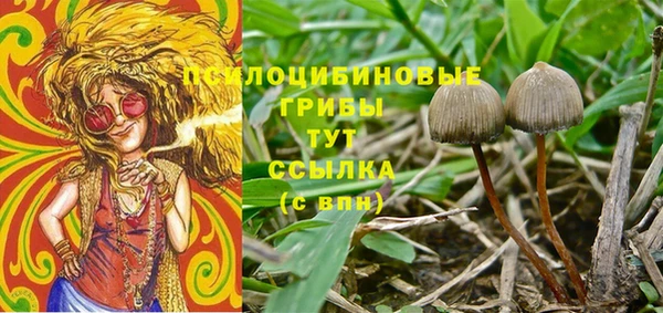 гидра Вяземский