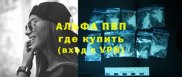гидра Вяземский